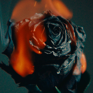 俄罗斯鲜嫩BBBBB
